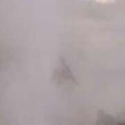 ヒメ日記 2025/02/20 13:47 投稿 はる 若葉