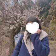 ヒメ日記 2025/02/23 14:15 投稿 はる 若葉