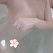 ヒメ日記 2025/03/26 16:25 投稿 はる 若葉