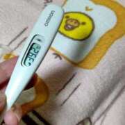 ヒメ日記 2025/03/31 06:55 投稿 はる 若葉