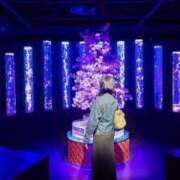 ヒメ日記 2025/04/17 23:35 投稿 はる 若葉