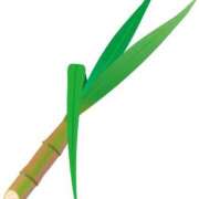 ヒメ日記 2025/05/08 20:06 投稿 はる 若葉