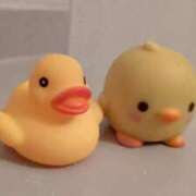 ヒメ日記 2025/05/11 15:47 投稿 はる 若葉