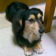 ヒメ日記 2025/05/13 18:04 投稿 はる 若葉