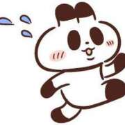 ヒメ日記 2025/05/16 14:26 投稿 はる 若葉