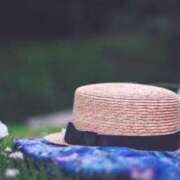 ヒメ日記 2025/05/01 11:48 投稿 あんり フォーシーズン