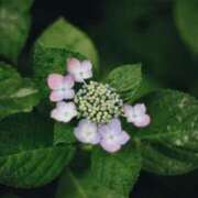 あんり 当日のご予約について💌 フォーシーズン