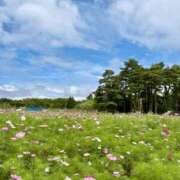 ヒメ日記 2025/09/23 21:48 投稿 あんり フォーシーズン