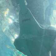 ヒメ日記 2025/04/10 16:54 投稿 石川 まゆり クラブダンディー