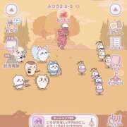 ヒメ日記 2025/04/11 13:44 投稿 石川 まゆり クラブダンディー