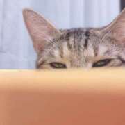 ヒメ日記 2025/05/07 15:00 投稿 石川 まゆり クラブダンディー