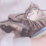 ヒメ日記 2025/05/14 09:01 投稿 石川 まゆり クラブダンディー