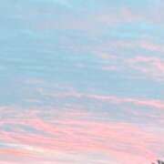 ヒメ日記 2025/06/01 04:45 投稿 石川 まゆり クラブダンディー