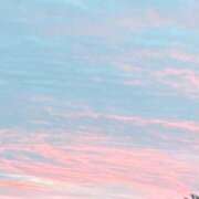 ヒメ日記 2025/06/01 05:04 投稿 石川 まゆり クラブダンディー