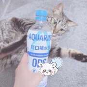 ヒメ日記 2025/07/08 09:01 投稿 石川 まゆり クラブダンディー