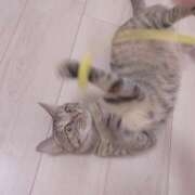 ヒメ日記 2025/08/24 22:52 投稿 石川 まゆり クラブダンディー