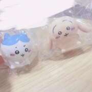 ヒメ日記 2025/09/29 13:09 投稿 石川 まゆり クラブダンディー