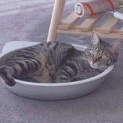 ヒメ日記 2025/10/15 23:26 投稿 石川 まゆり クラブダンディー