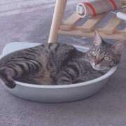 ヒメ日記 2025/10/15 23:19 投稿 石川 まゆり クラブダンディー