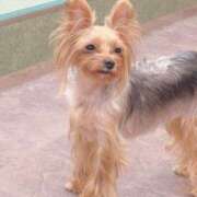 ヒメ日記 2025/11/09 16:27 投稿 石川 まゆり クラブダンディー