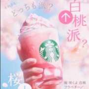 ヒメ日記 2026/02/12 14:42 投稿 石川 まゆり クラブダンディー