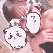 ヒメ日記 2026/02/15 18:03 投稿 石川 まゆり クラブダンディー