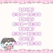 ヒメ日記 2026/03/01 09:02 投稿 石川 まゆり クラブダンディー