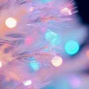 ヒメ日記 2024/12/22 20:34 投稿 あさか 熟女の風俗最終章 新潟店