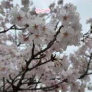 ヒメ日記 2026/04/05 18:43 投稿 あさか 熟女の風俗最終章 新潟店