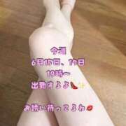 ヒメ日記 2026/06/14 14:43 投稿 あさか 熟女の風俗最終章 新潟店