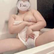 ヒメ日記 2025/10/11 15:00 投稿 えみ 蒼いうさぎ