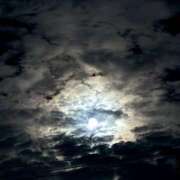 ヒメ日記 2025/10/18 22:00 投稿 えみ 蒼いうさぎ