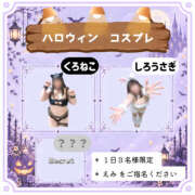 ヒメ日記 2026/10/26 21:00 投稿 えみ 蒼いうさぎ
