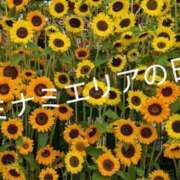 ヒメ日記 2025/08/07 10:48 投稿 りり 熟女家 ミナミエリア店