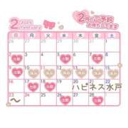 ヒメ日記 2025/02/02 14:39 投稿 あかね ハピネス東京