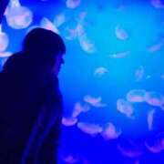 ヒメ日記 2026/02/10 21:07 投稿 あかね ハピネス東京