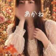 ヒメ日記 2026/10/21 08:47 投稿 あかね ハピネス東京