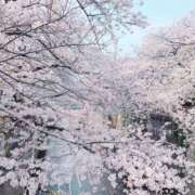 ヒメ日記 2025/04/07 23:46 投稿 りん 東京妻next (京都グループ)