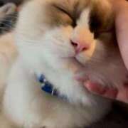 ヒメ日記 2024/12/31 18:59 投稿 PAN『パン』 GG