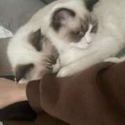 ヒメ日記 2025/01/18 16:49 投稿 PAN『パン』 GG