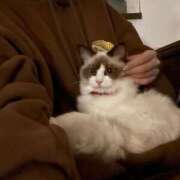 ヒメ日記 2025/01/25 17:41 投稿 PAN『パン』 GG