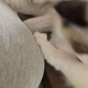 ヒメ日記 2025/01/31 16:09 投稿 PAN『パン』 GG