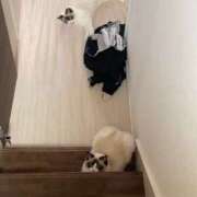 ヒメ日記 2025/03/24 16:19 投稿 PAN『パン』 GG