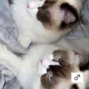 ヒメ日記 2025/04/03 20:01 投稿 PAN『パン』 GG