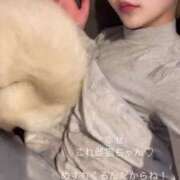 ヒメ日記 2025/04/22 20:09 投稿 PAN『パン』 GG