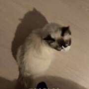 ヒメ日記 2025/05/12 23:49 投稿 PAN『パン』 GG