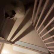 ヒメ日記 2025/05/18 00:19 投稿 PAN『パン』 GG