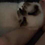 ヒメ日記 2025/06/10 11:29 投稿 PAN『パン』 GG