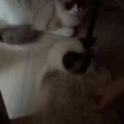 ヒメ日記 2025/06/17 00:09 投稿 PAN『パン』 GG