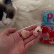 ヒメ日記 2025/06/17 10:37 投稿 PAN『パン』 GG